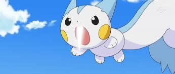 smogon pachirisu|Iba pa.